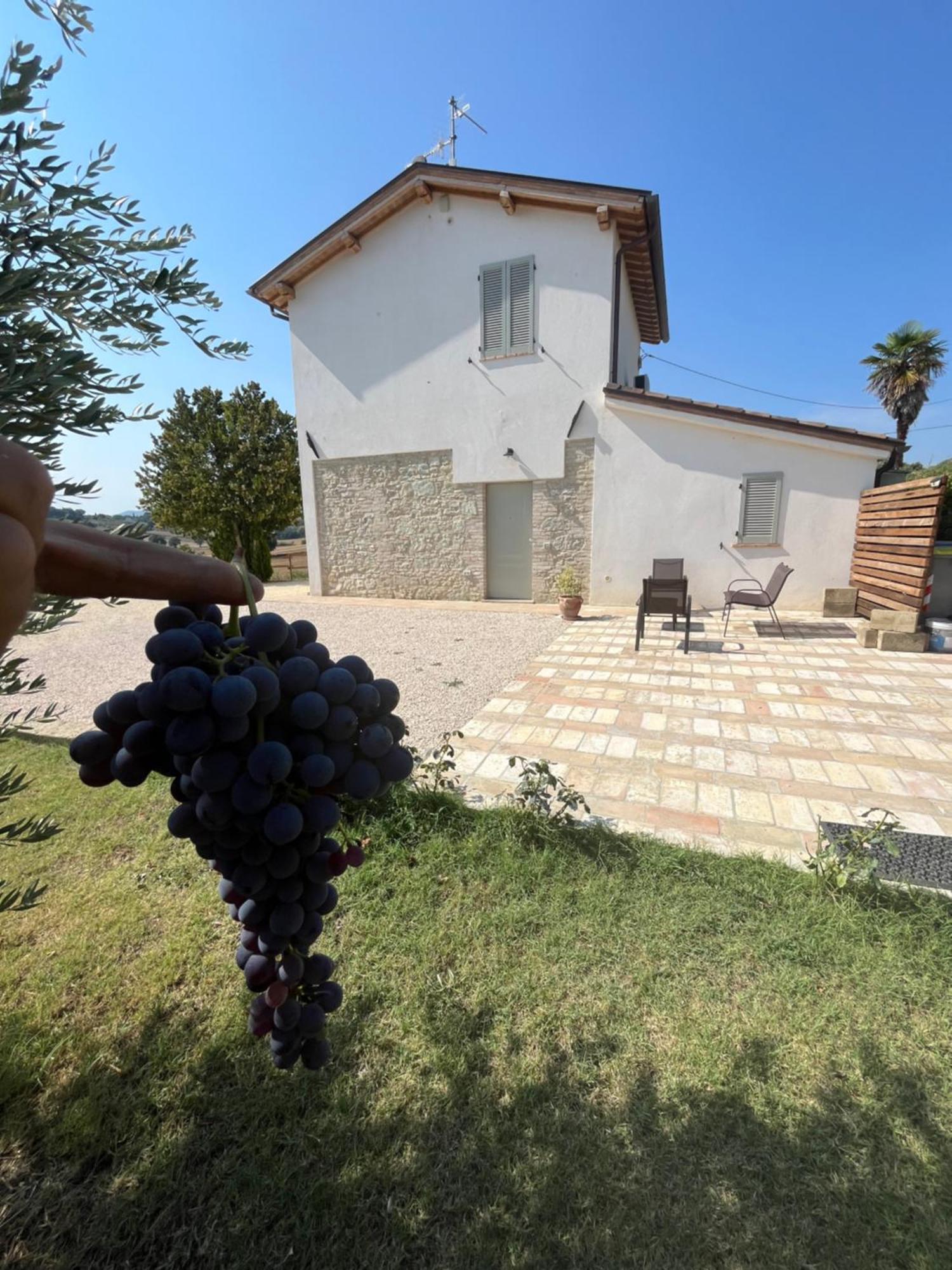Holiday home Casa Stefano *