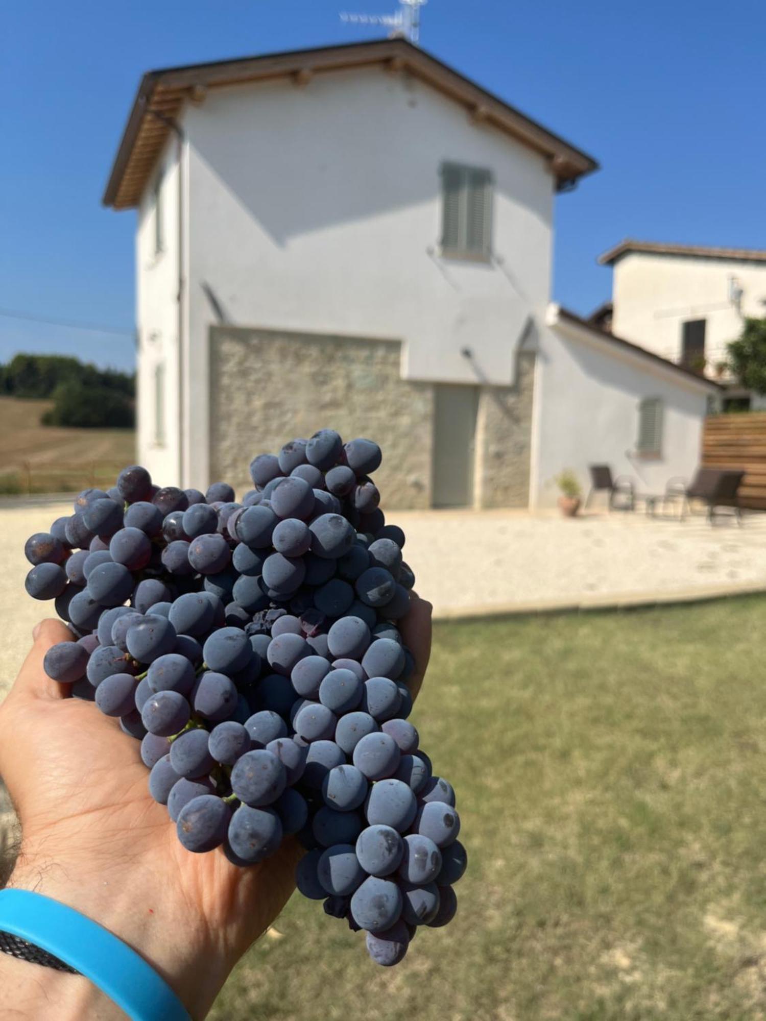 Casa Stefano *